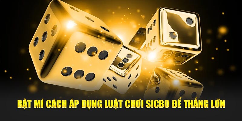 Bật mí cách áp dụng luật chơi sicbo để thắng lớn