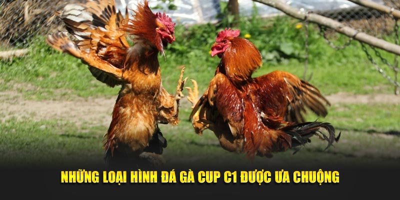 Những loại hình đá gà cup C1 được ưa chuộng