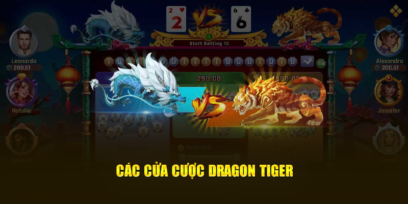 Các cửa cược Dragon Tiger