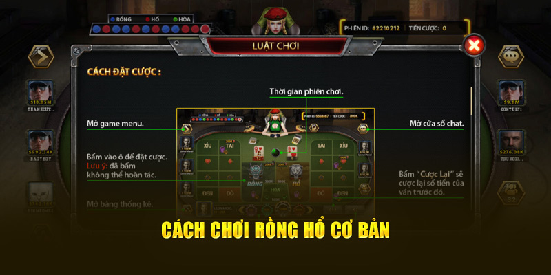 Cách chơi rồng hổ cơ bản