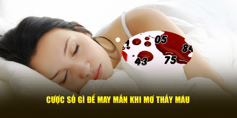 Cược số gì để may mắn khi mơ thấy máu