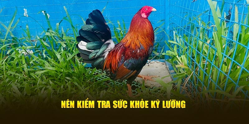 Nên kiểm tra sức khỏe kỹ lưỡng